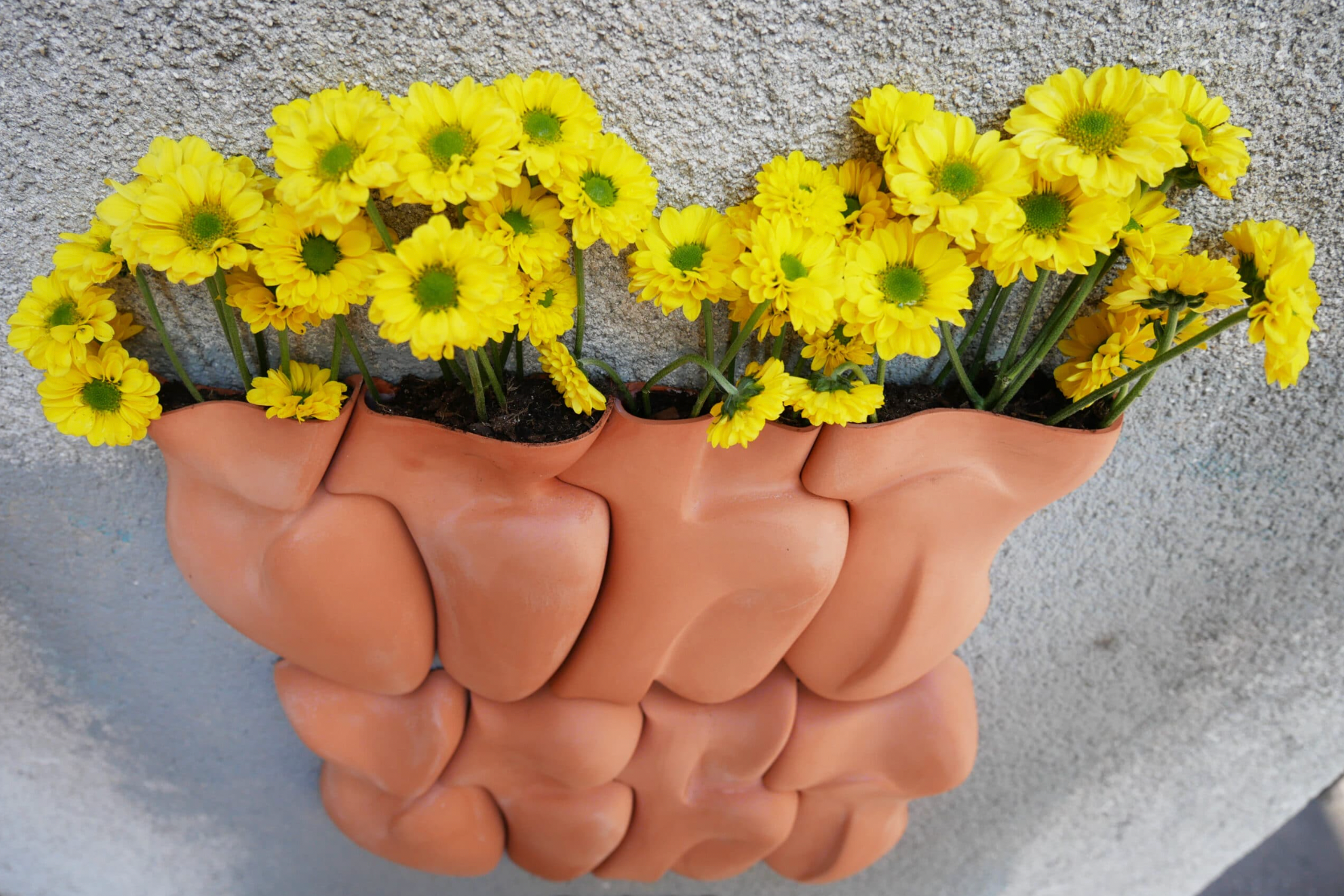 Jardinière CeraCera